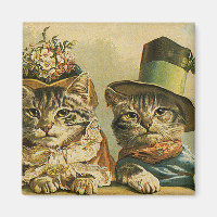 Humour vintage, chats victoriens de marié de jeune