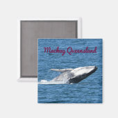 AIMANT HUMPBACK WHALE TAIL MACKAY QUEENSLAND AUSTRALIE (Recto/Verso)
