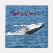 AIMANT HUMPBACK WHALE TAIL MACKAY QUEENSLAND AUSTRALIE (Devant)