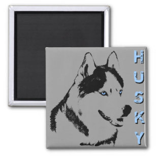 Aimant Husky Fridge Magnet Alaskan Sled Dog Magnet