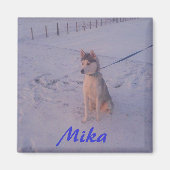 Aimant Husky.Mika.aimant (Devant)