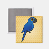 Aimant Hyacinth Macaw (Recto/Verso)