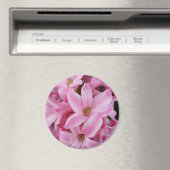 Aimant hyacinthe rose (In Situ (Lave-vaisselle))