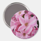 Aimant hyacinthe rose (Recto/Verso)