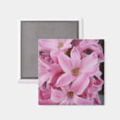 Aimant hyacinthe rose (Recto/Verso)