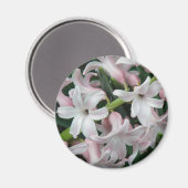 Aimant Hyacinths (Recto/Verso)