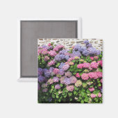 Aimant Hydrangea (Recto/Verso)