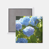 Aimant Hydrangea bleu doux (Recto/Verso)