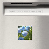 Aimant Hydrangea bleu doux (In Situ (Lave-vaisselle))