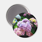 Aimant Hydrangea garden, rose, bleu, purple floral (Recto/Verso)