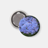 Aimant Hydrangea macrophylla rustique violet (Recto/Verso)