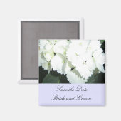 Aimant Hydrangeas blanches avec une bordure bleu clair (Recto/Verso)