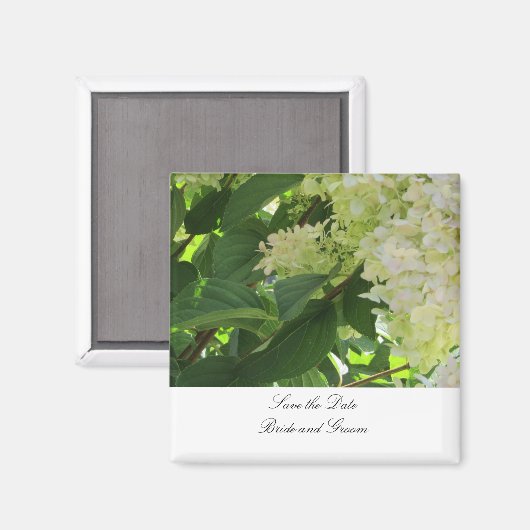 Aimant Hydrangeas blanches Enregistrer la date (Recto/Verso)