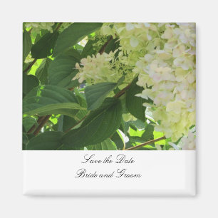 Aimant Hydrangeas Blancs Sauvegarder la Date