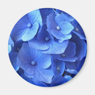 Aimant Hydrangeas bleu foncé