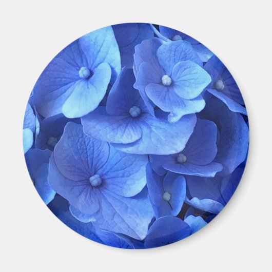 Aimant Hydrangeas bleu foncé (Devant)