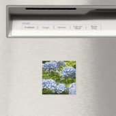 Aimant Hydrangeas Bleus Nuancés (In Situ (Lave-vaisselle))