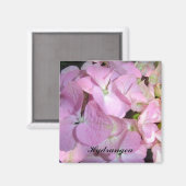 Aimant Hydrangeas Rose Bébé (Recto/Verso)