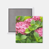 Aimant Hydrangeas Rose Foncé (Recto/Verso)