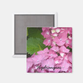 Aimant Hydrangeas roses (Recto/Verso)