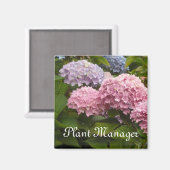 Aimant Hydrangeas roses et mauves (Recto/Verso)