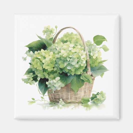 Aimant Hydrangeas Verts   (Devant)