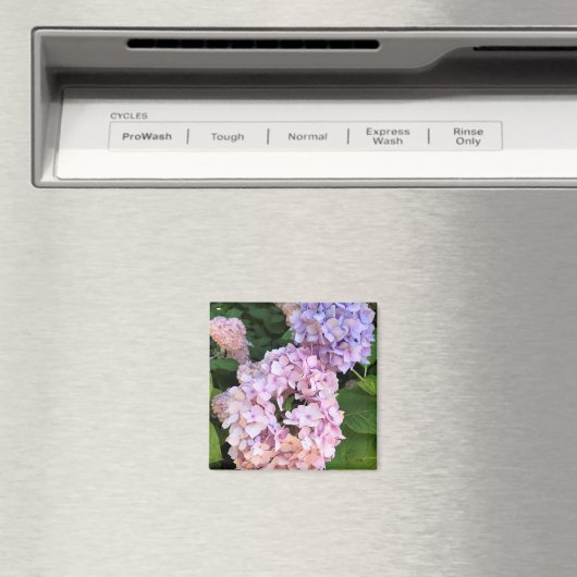 Aimant Hydrangée (In Situ (Lave-vaisselle))