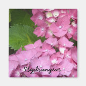 Aimant Hydrangée rose (Devant)