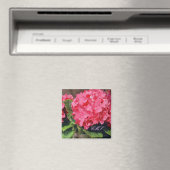 Aimant Hydrangée rose (In Situ (Lave-vaisselle))