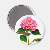 Aimant Hydrangée rose fleur rose rose rose floral (Recto/Verso)