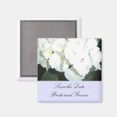 Aimant Hydrangées blanches avec bordure bleu doux (Recto/Verso)