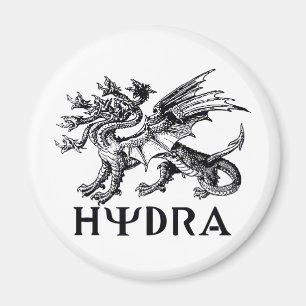 Aimant Hydre