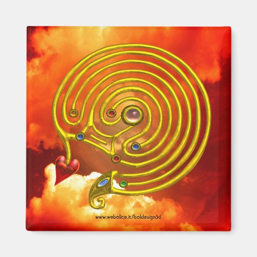 AIMANT HYPER LABYRINTH (Devant)