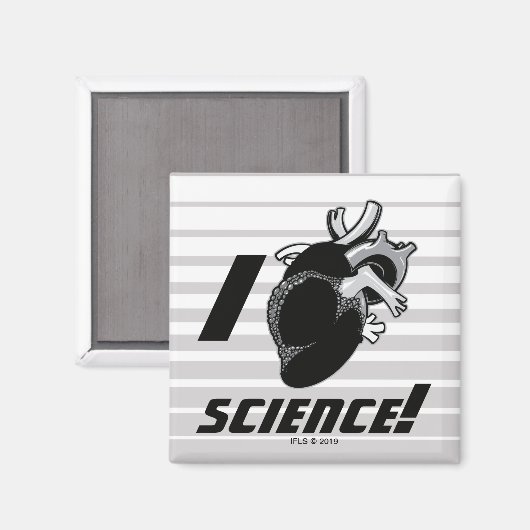 AIMANT I (Recto/Verso)