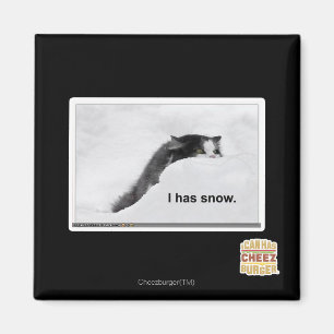 Aimant I a la neige