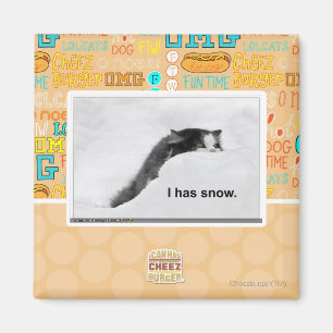 Aimant I a la neige