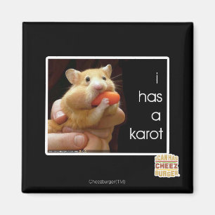 Aimant I a un karot