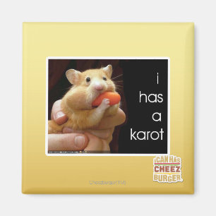 Aimant I a un karot
