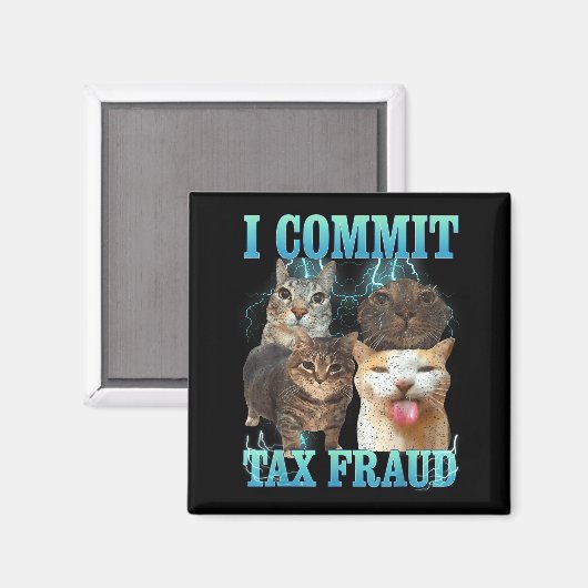 Aimant I Commit Tax Fraud Funny Cat Meme Bootleg Graphic  (Recto/Verso)