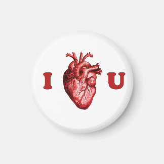 Aimant I Heart You Anatomical Heart - Blanc & Rouge
