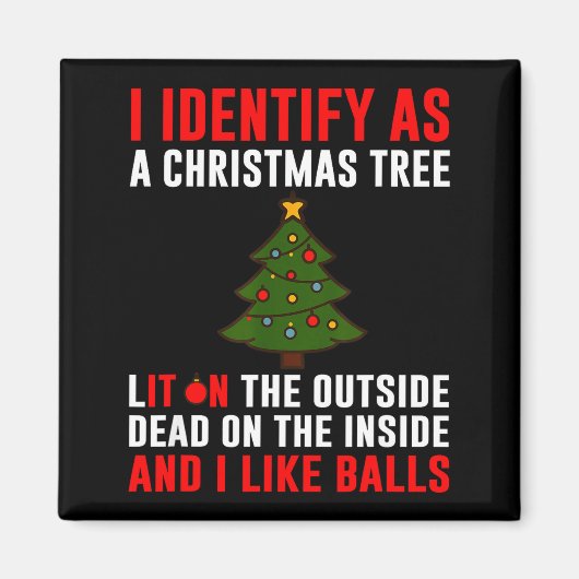 Aimant I Identify As A Christmas Tree Lit On Outside Dead (Devant)