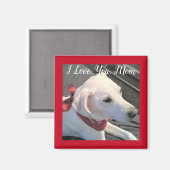 Aimant I Log you Chig Maman blanc Labrador Retriever Mix (Recto/Verso)
