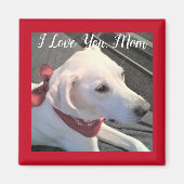 Aimant I Log you Chig Maman blanc Labrador Retriever Mix (Devant)