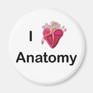 Aimant I Love Anatomy with human heart!