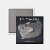 Aimant I Love Chinchillas (Recto/Verso)