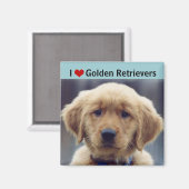 Aimant I Love Golden Retrievers mignon chiot (Recto/Verso)