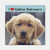 Aimant I Love Golden Retrievers mignon chiot (Devant)
