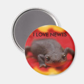 Aimant I Love Newts (Recto/Verso)