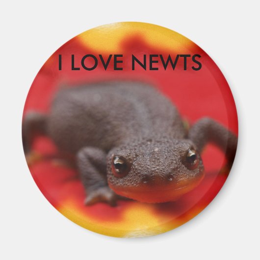 Aimant I Love Newts (Devant)