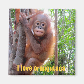 Aimant I Love Orangutans with Baby Uttuh